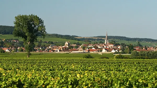 village in burgundy overlooking chardonnay vines
