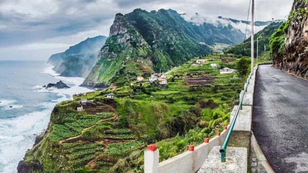 island of madeira and its hillside vineyards