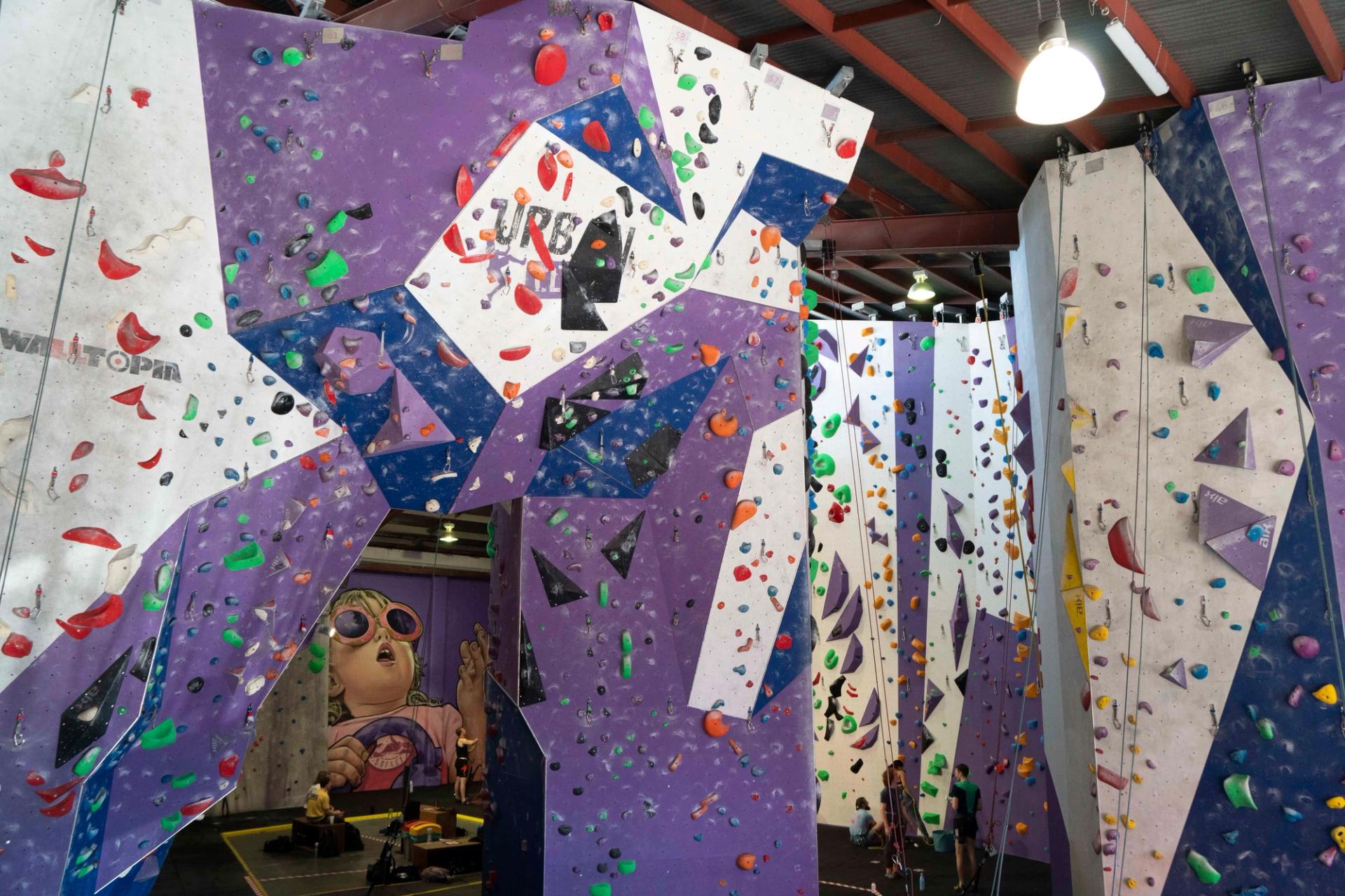 A rock climbing wall at Urban Climb in West End.