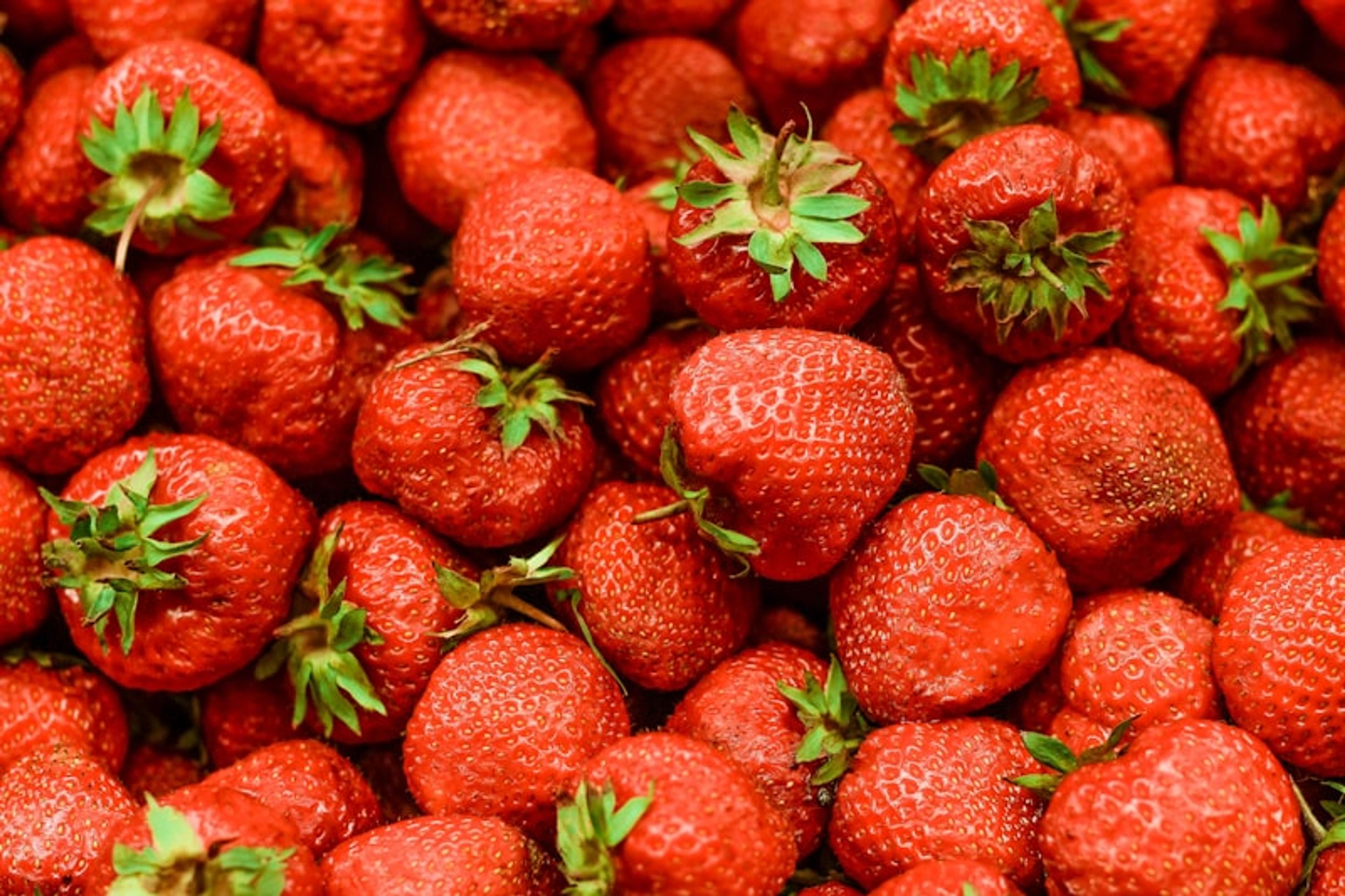 BarakBerries – קטיף פירות
