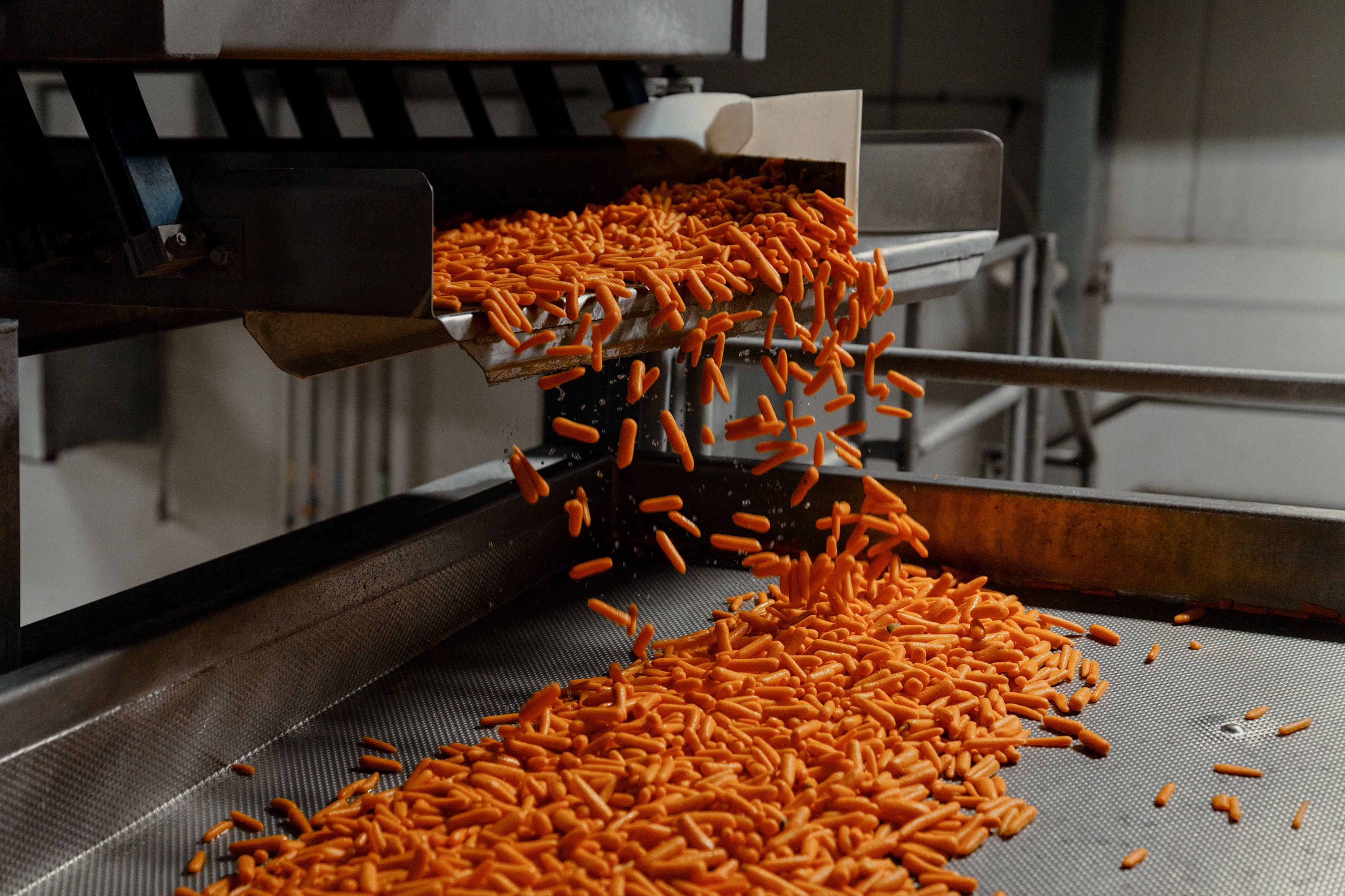 baby carrots falling Bolthouse