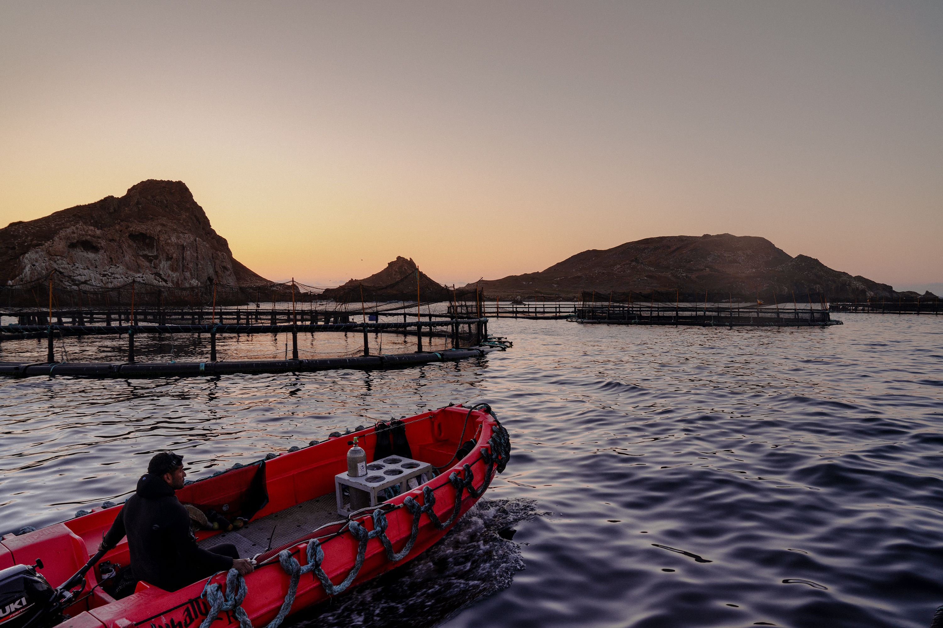 Butterfly Equity – Pacifico Aquaculture Islands Image