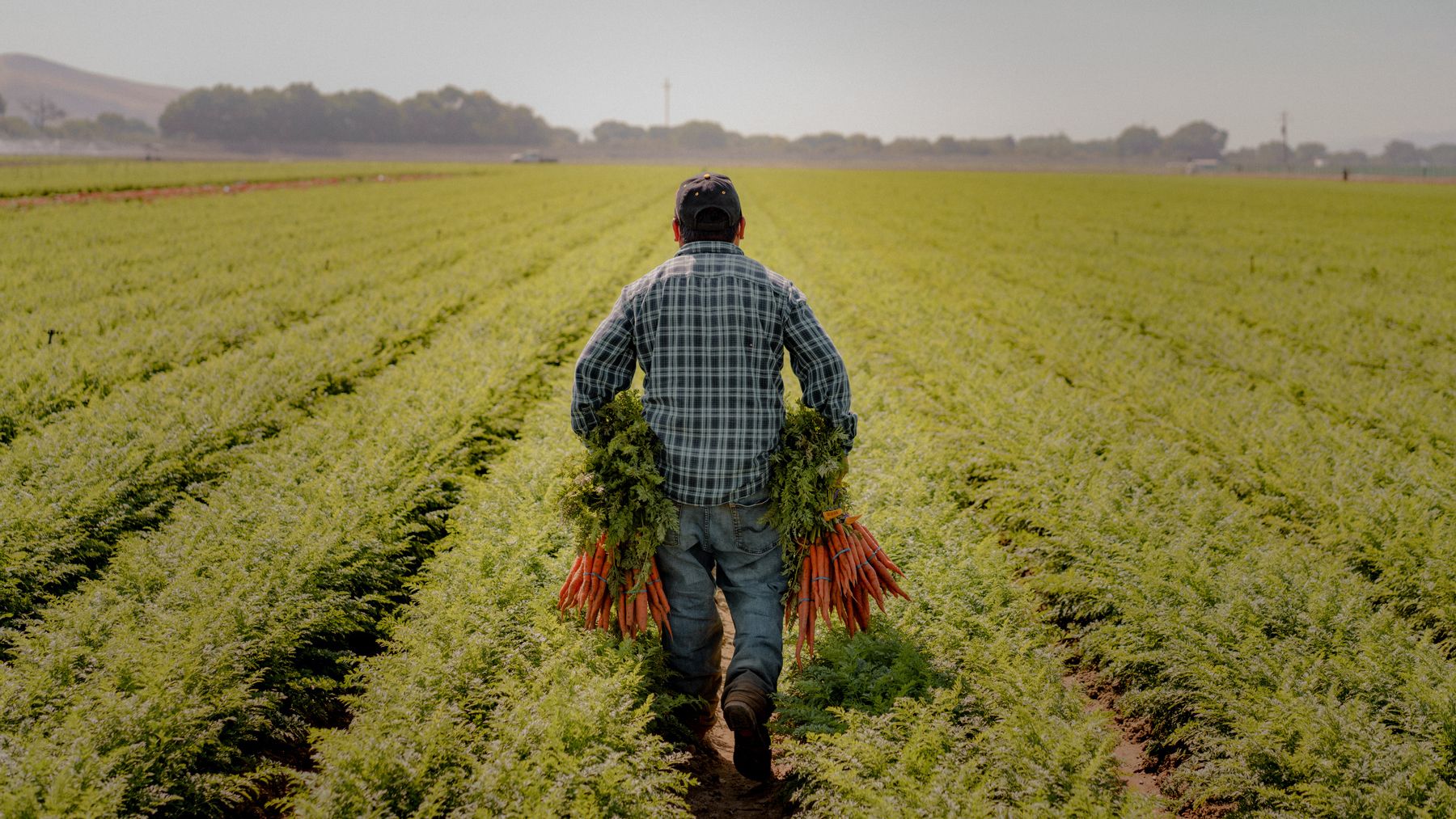 Butterfly Equity Home Page – Man Holding Carrots