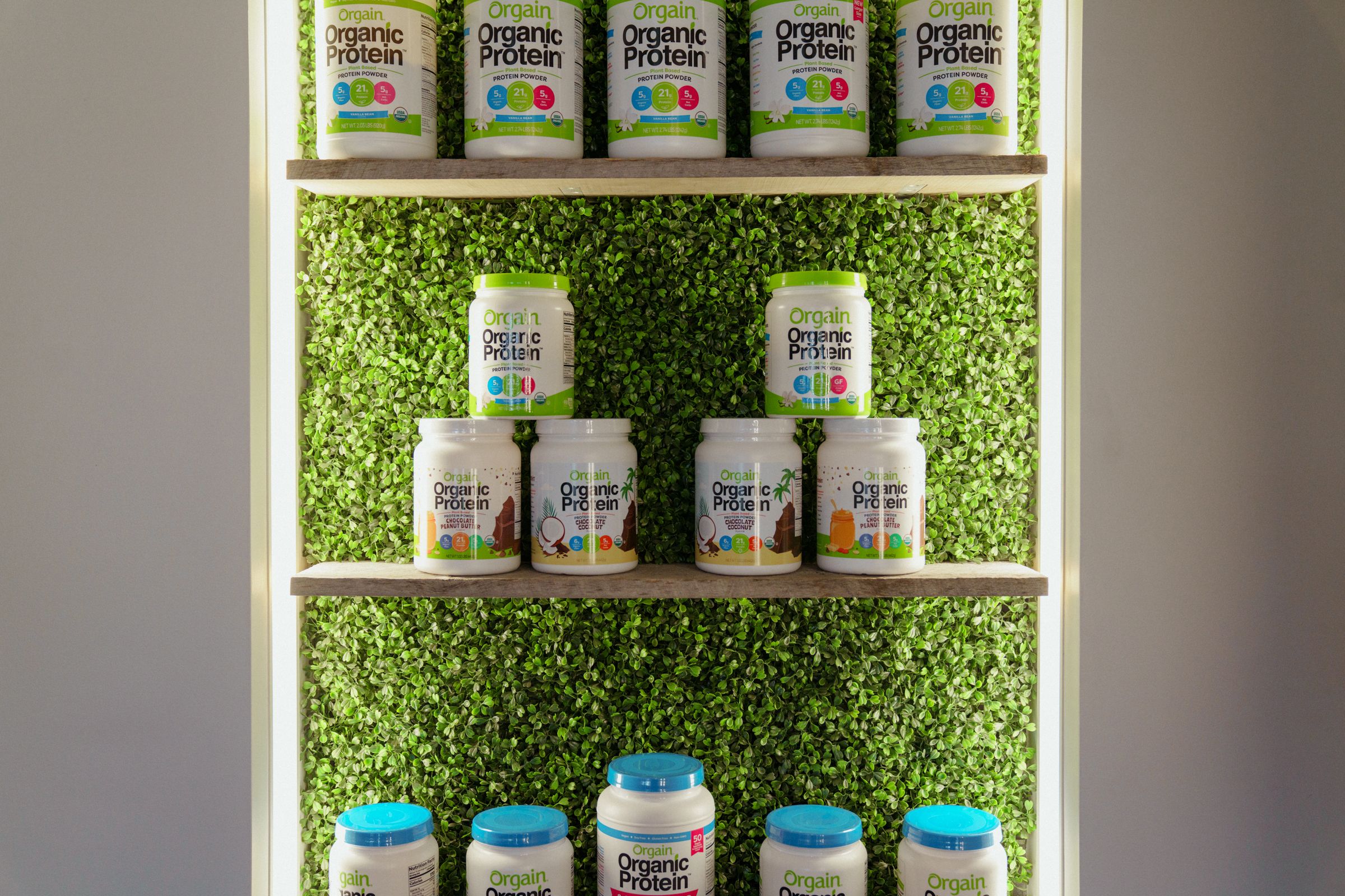 Orgain protein