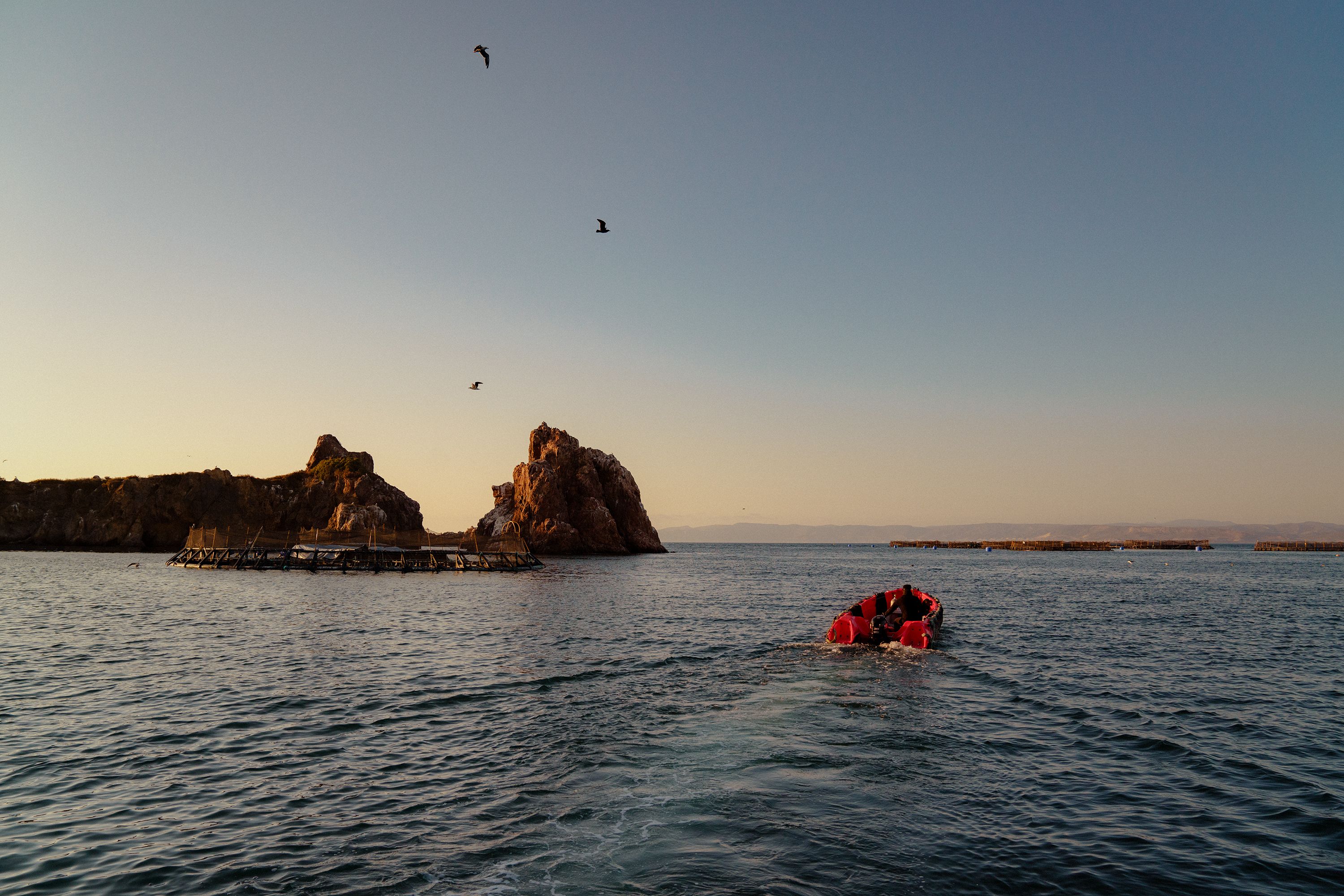 Pacifico boat