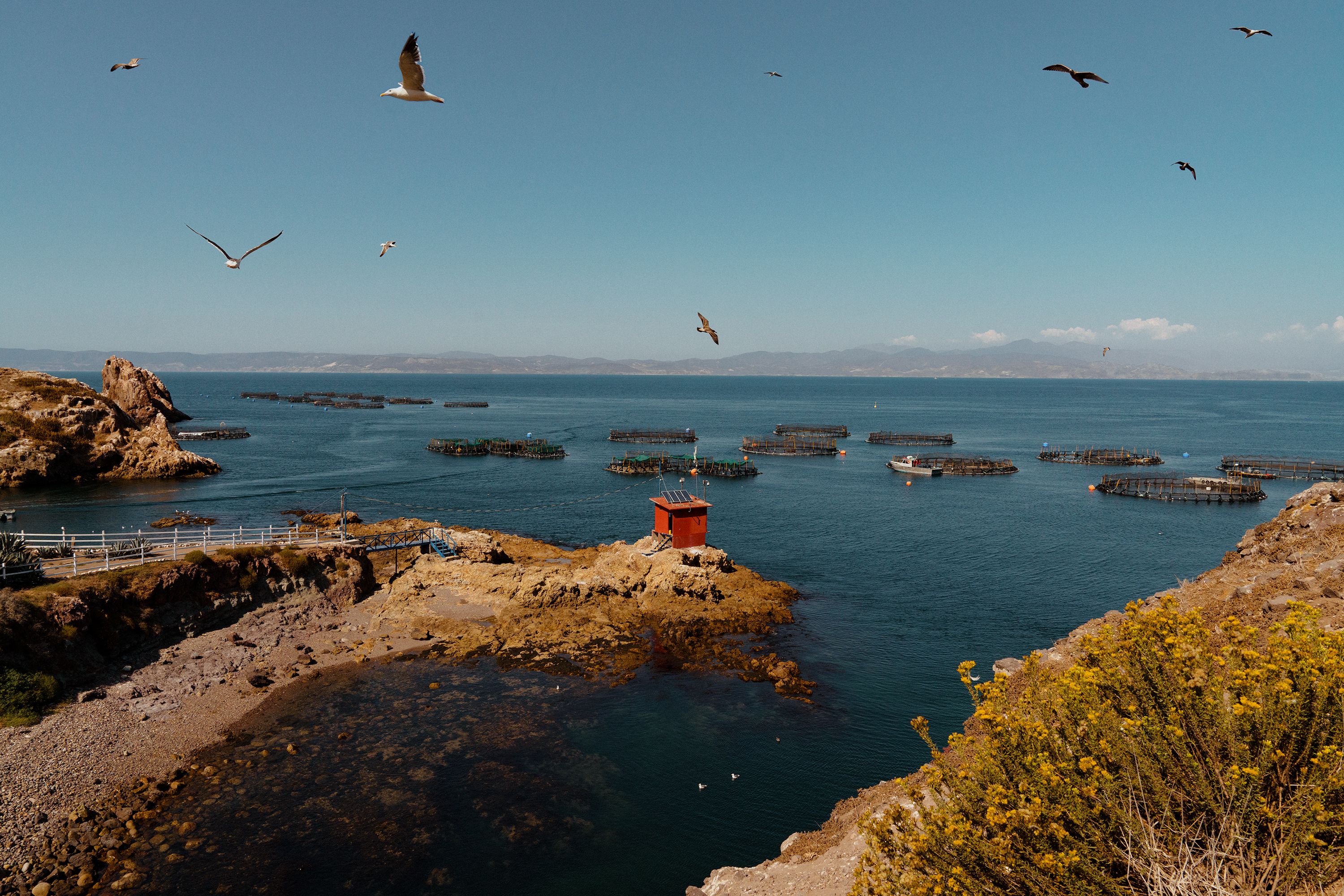 Isla Todos Santos Pacifico