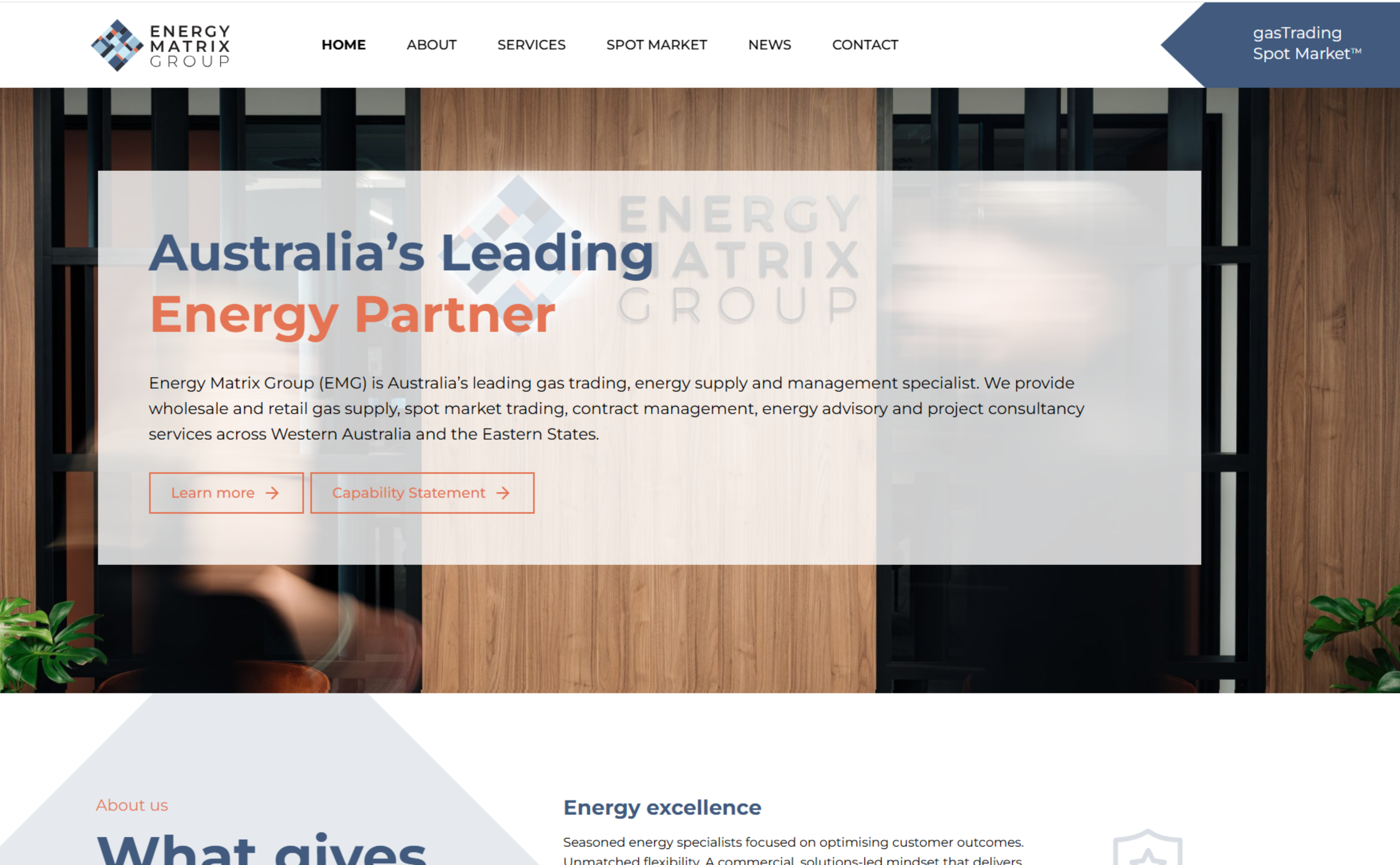 EMG Homepage on Website