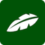 icon of Jungle