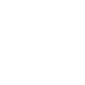 Action Items