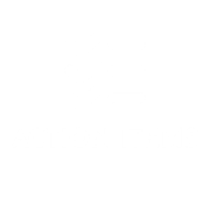 Action Items