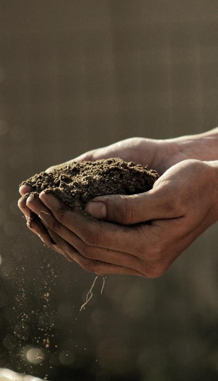 Compost hands