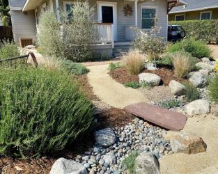 Native garden in Southern California
