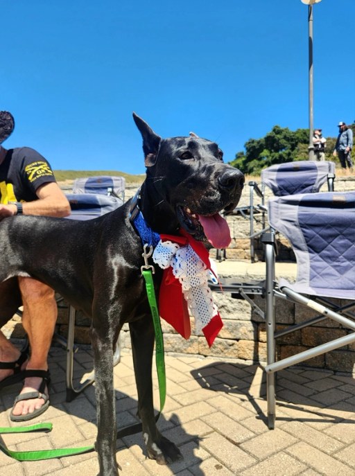 A guest captured at VTC's Celebration of Freedom, Rancho Cielo Youth Campus