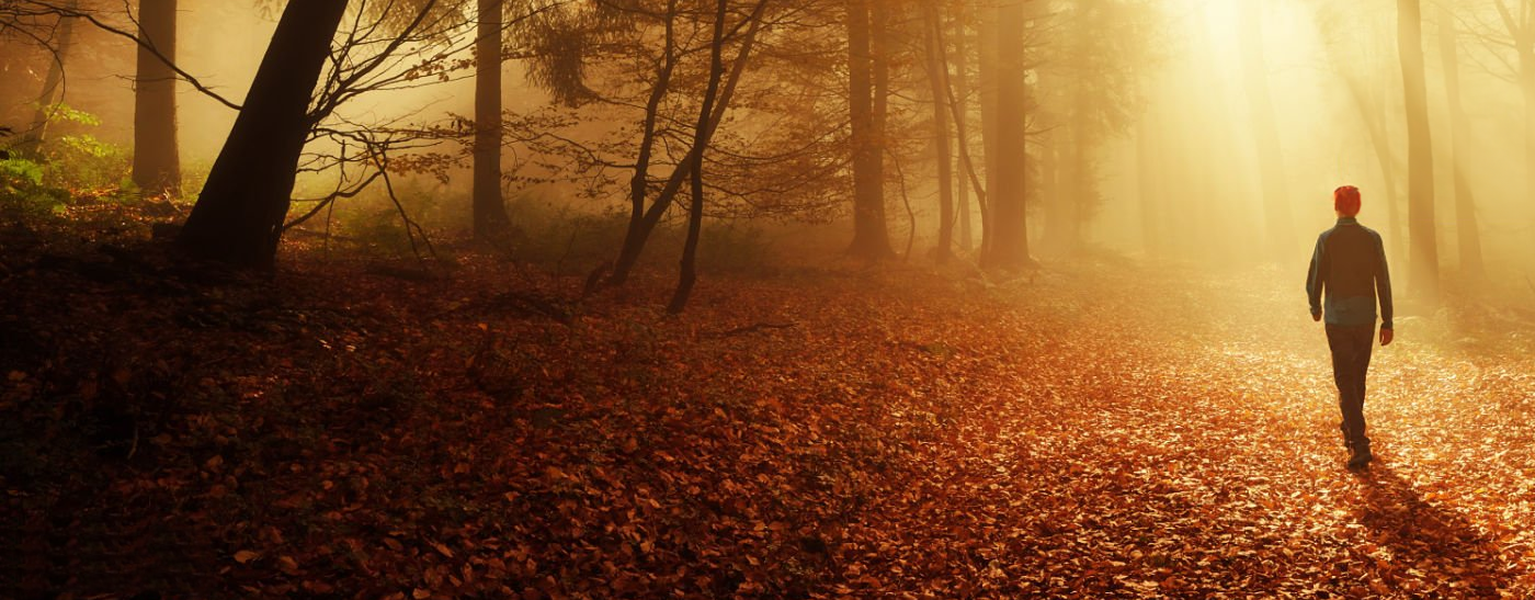 A person walks through an autumn forest illuminated by warm sunlight.