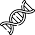 DNA icon