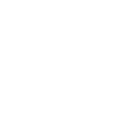 Avnera Inc.