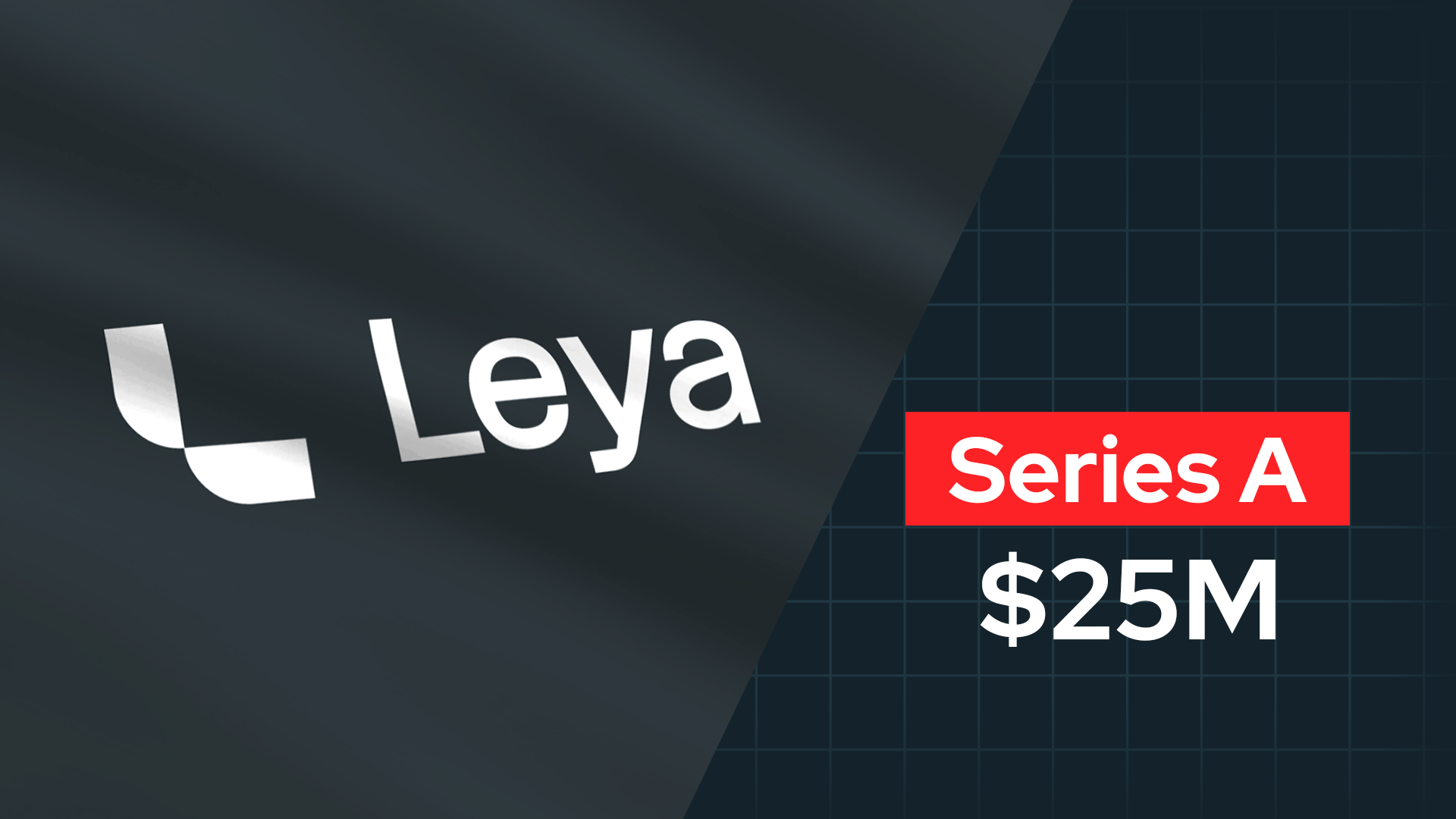 Leya raises $25M to Automate Legal Work With AI