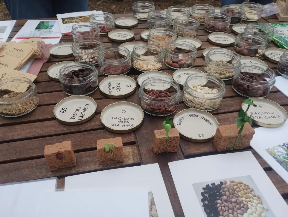 Bombe di semi
