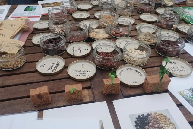 Bombe di semi
