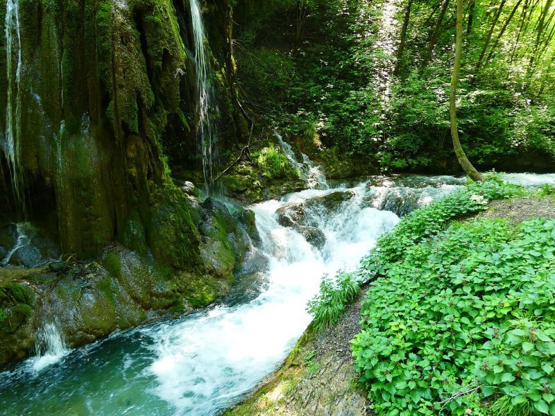 Passeggiata naturalistica alla roggia di Calavino