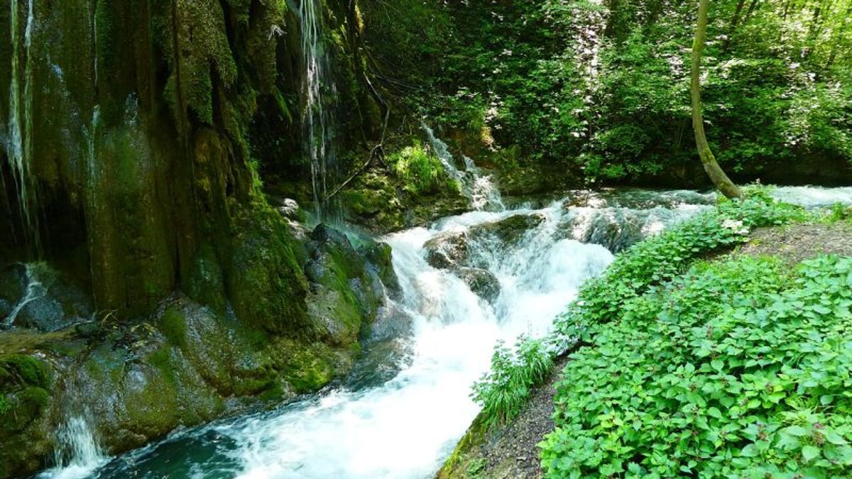 Passeggiata naturalistica alla roggia di Calavino
