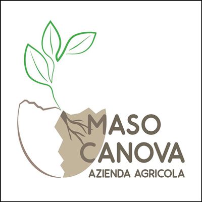 Maso Canova