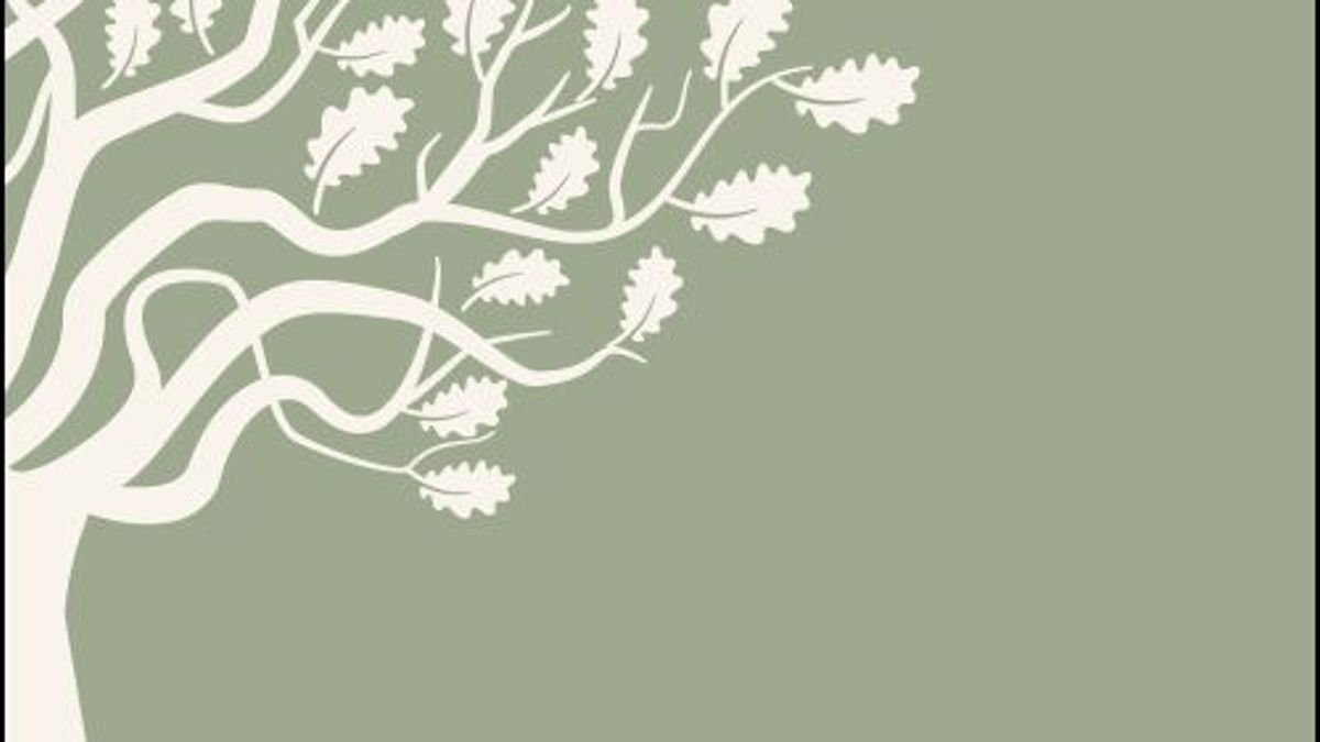 Presentazione del libro “Canto verde”