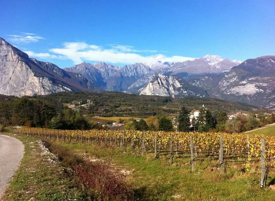 Cantina Pravis