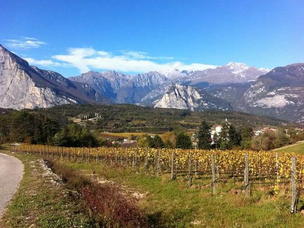 Cantina Pravis