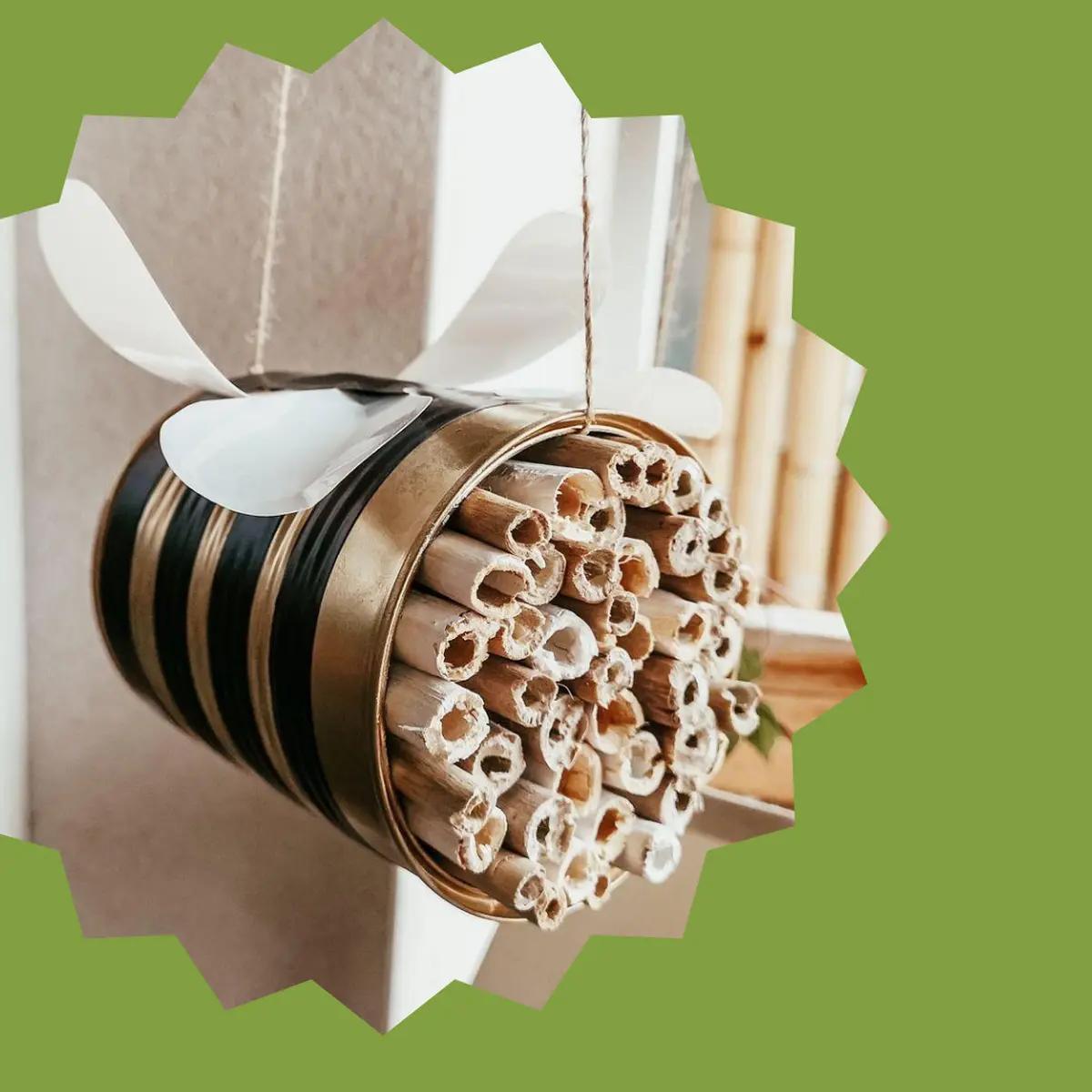 Il tempo degli insetti: costruiamo un Bug Hotel