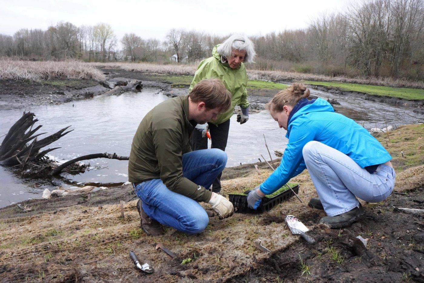 Volunteers planting native vegetation along a restored stream bank at the former Hyde Pond dam site