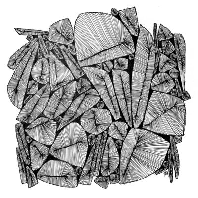 What’s on my mind?