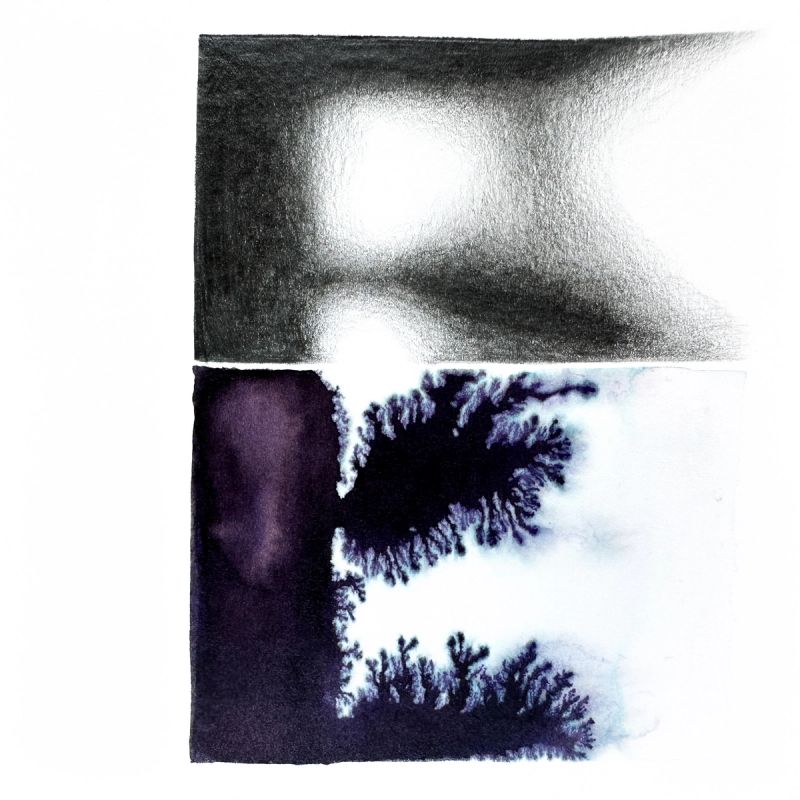 Pascal Creativity Project