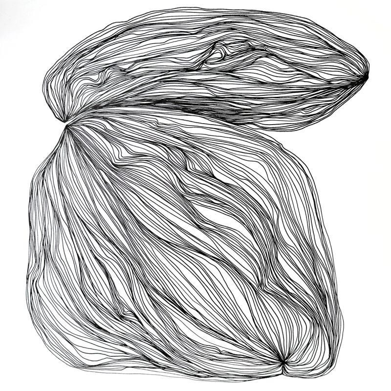 Pascal Creativity Project