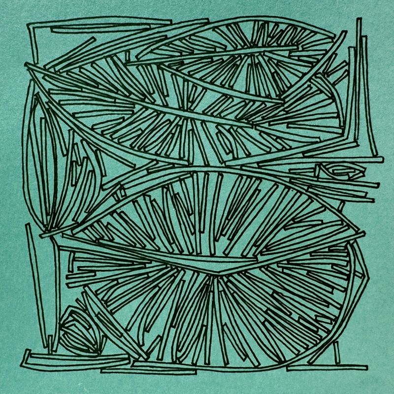 Pascal Creativity Project