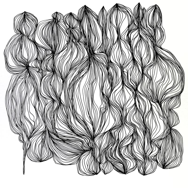 Pascal Creativity Project