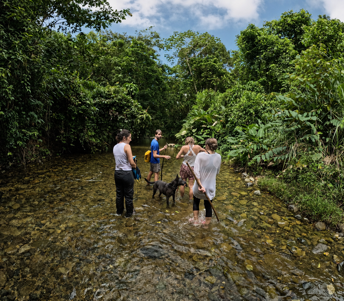 Andando por el rio