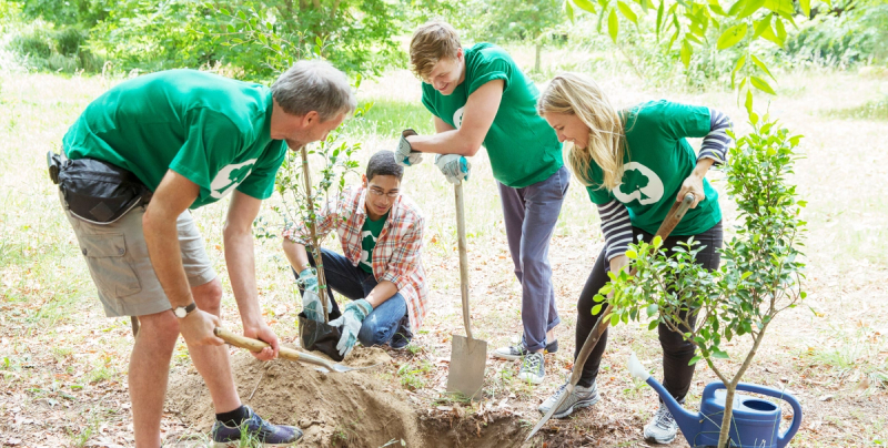 Ehrenamtliche pflanzen einen Baum.