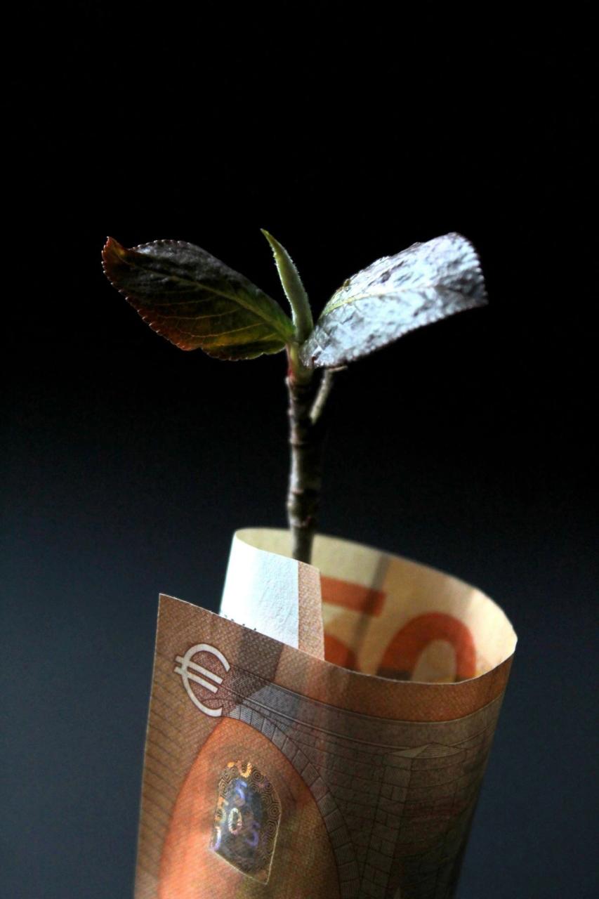geld um stock umwickelt