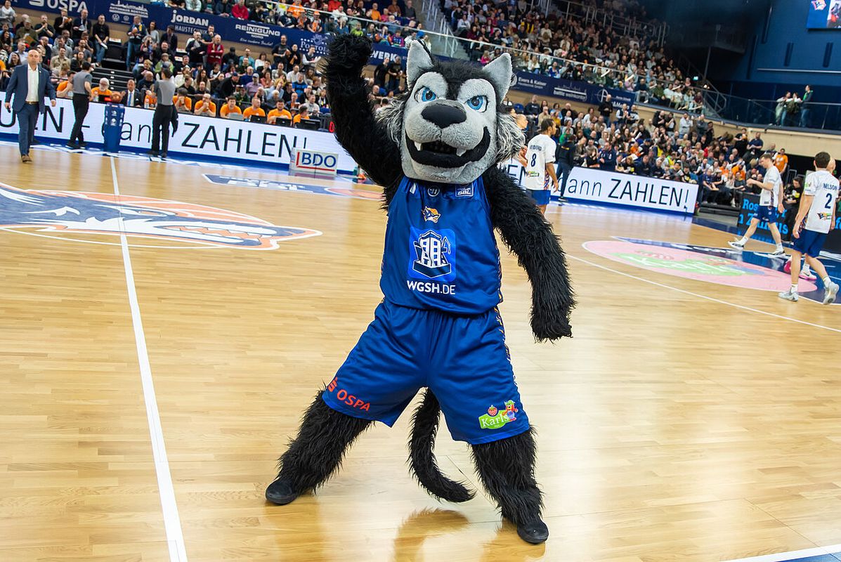 Wolfi Rostock Seawolves