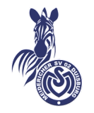 MSV Duisburg 