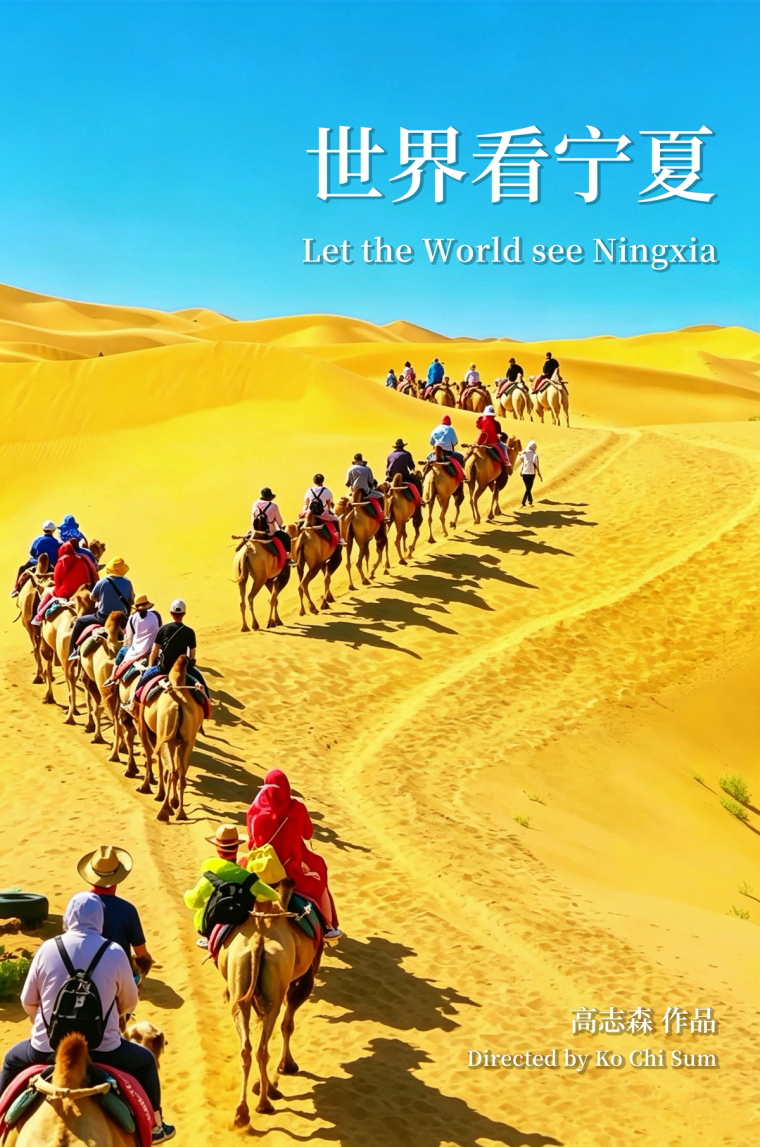 Let the World See Ningxia poster