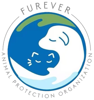 Furever Animal Protection Organization / HEYPaws Commune Inc.