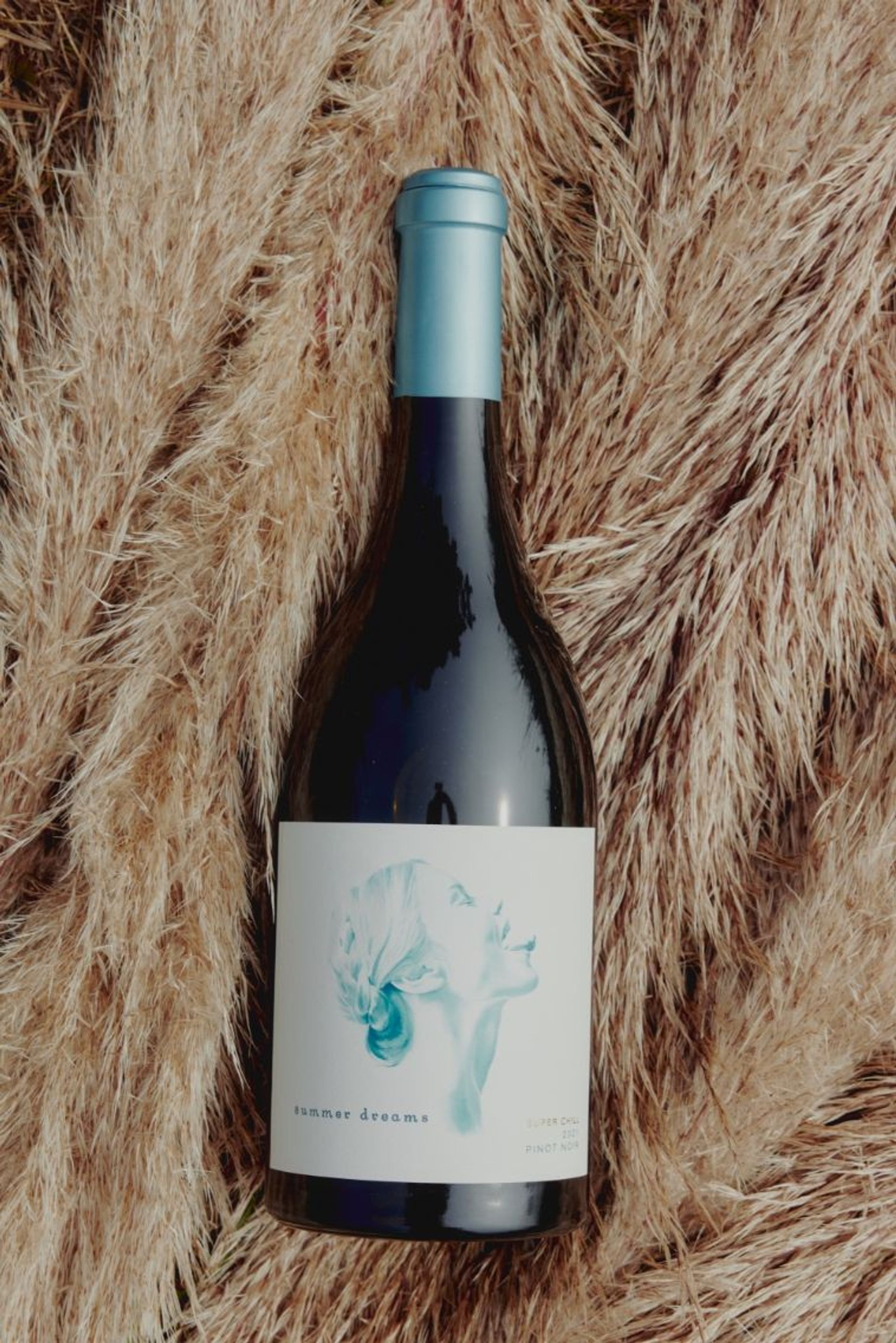 Sonoma Coast AVA - Discover Our Sonoma Coast Vineyards