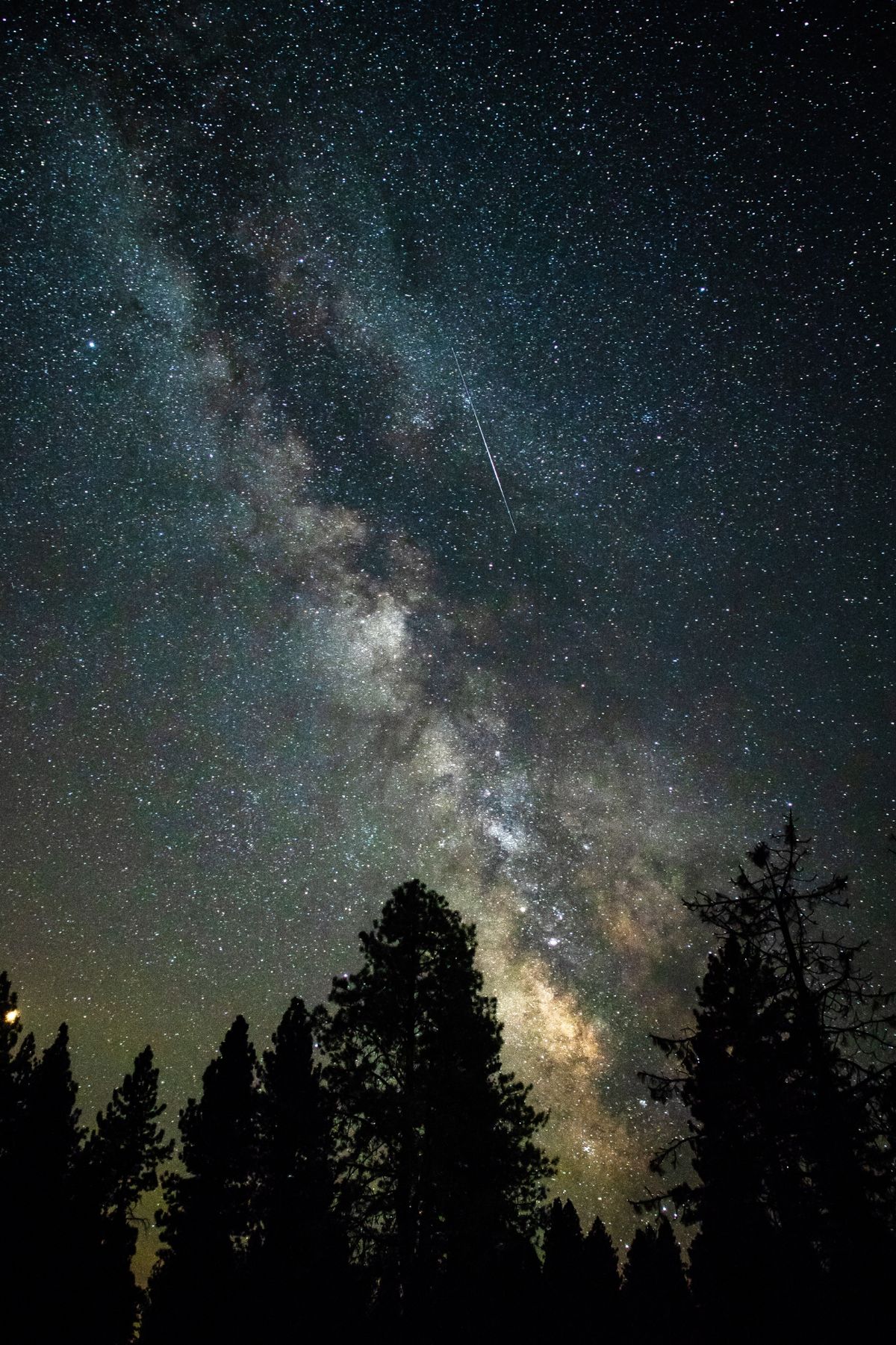 Stargazing - Sonoma Coast Pinot Noir - Summer Dreams Wines