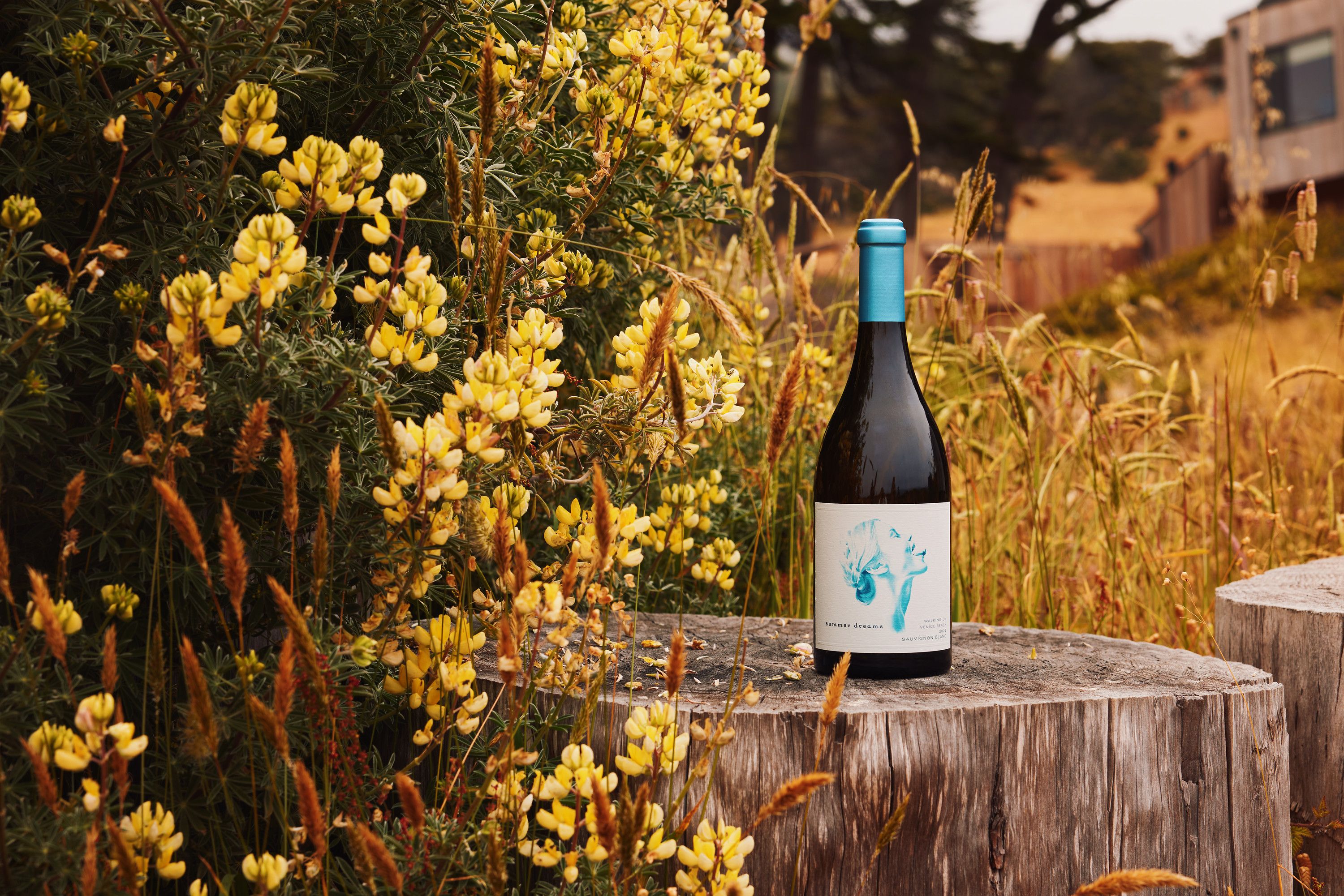 Sonoma White Wine - Summer Dreams Wines