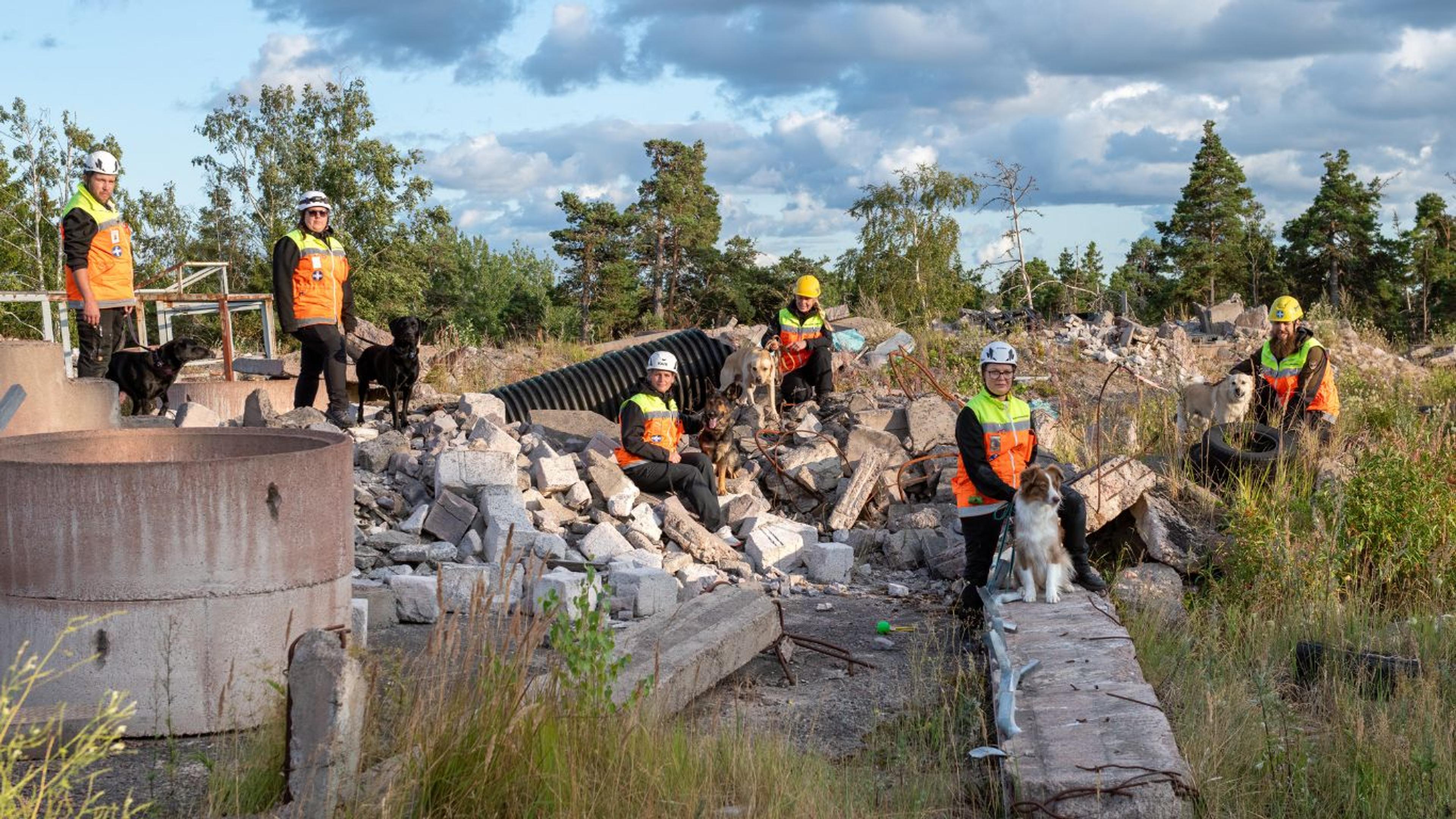 ÅBSK Rescue Dogs - Paf funds - 1