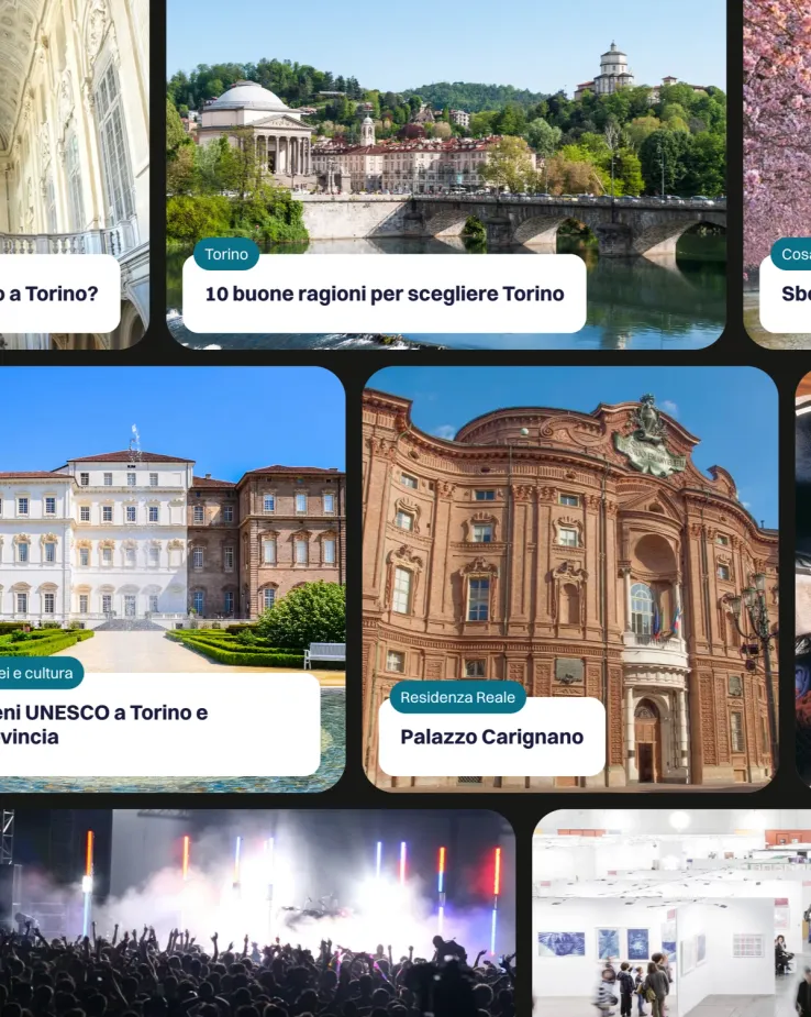 Animation on the TTP website showing multiple resource cards dynamically moving or transitioning, demonstrating the intuitive linking to different pages for exploring Torino and surroundings.