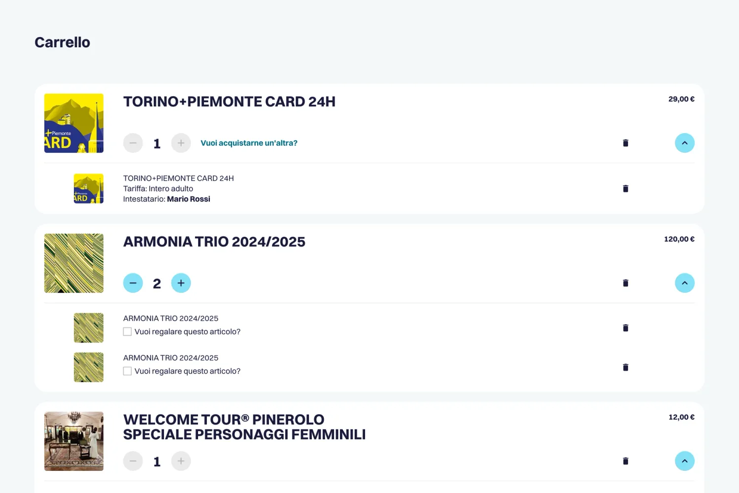 View of the shopping cart on the TTP website displaying multiple purchased items, showcasing the custom-built e-commerce checkout process integrated with Stripe.
