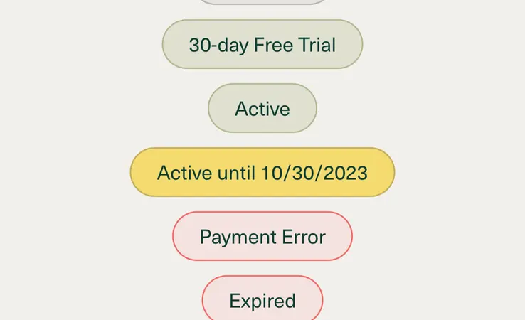 Visual representation of all possible subscription statuses (e.g., active, pending, cancelled) within the OS Benefits management system, handled by Laravel Cashier.